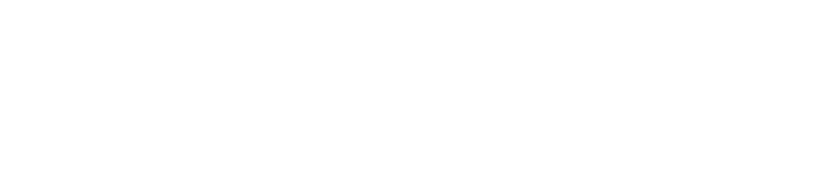 Panorama Festival