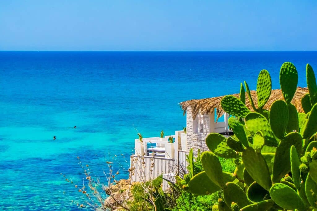 Spiaggia con acque cristalline e cactus, perfetta per il Panorama Festival in Puglia.
